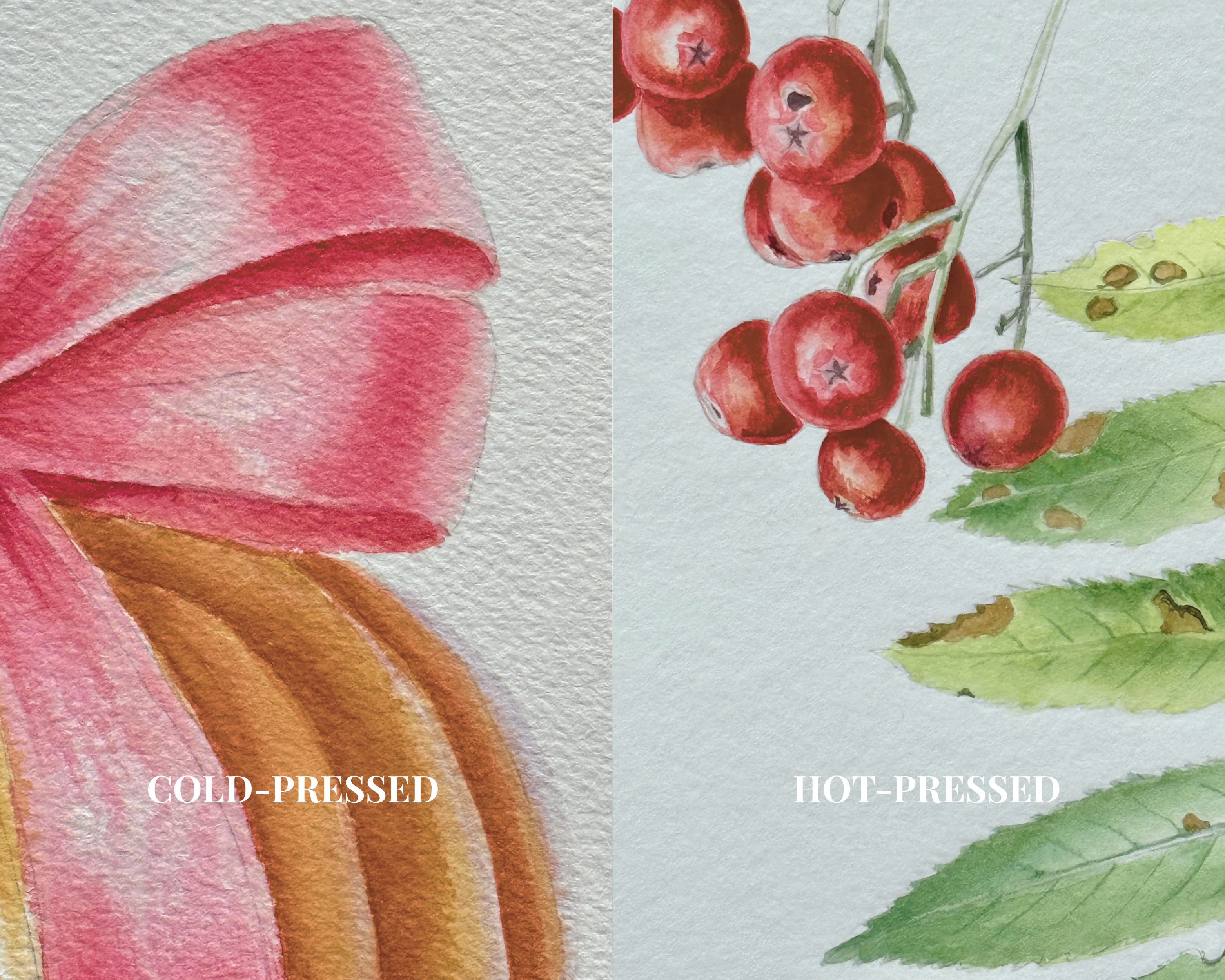 hot-pressed vs cold-pressed watercolor paper