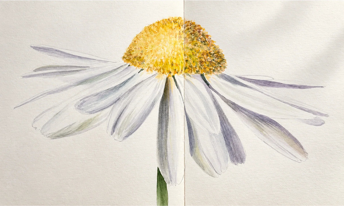 How to Paint White Flowers in Watercolor Without Using White Paint