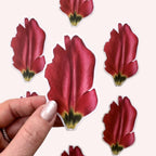 Spring Sticker Set