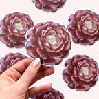 Summer Sticker Set