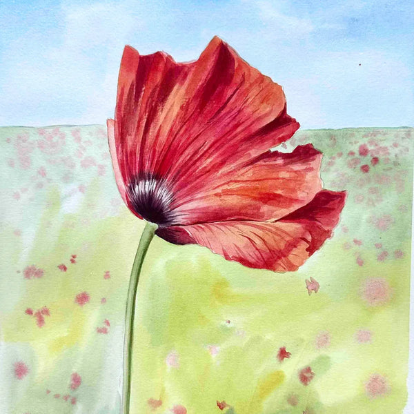 Poppy with a background
