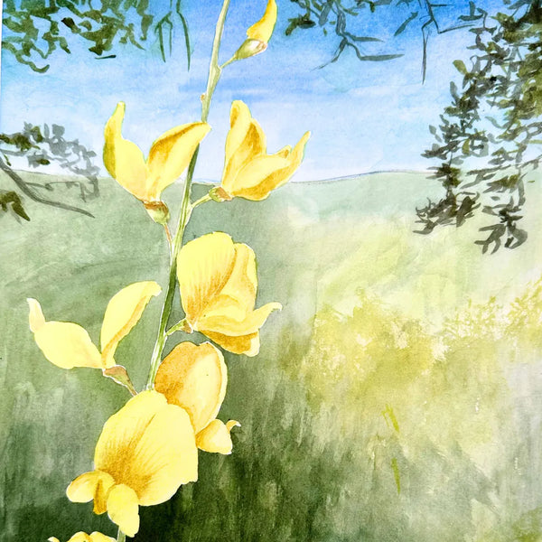 Yellow Flower Landscape