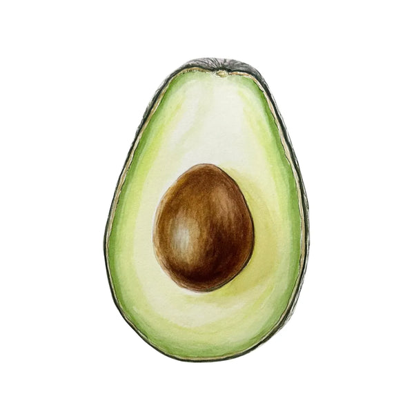 Avocado