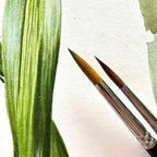 Watercolor Brushes Pink or Black