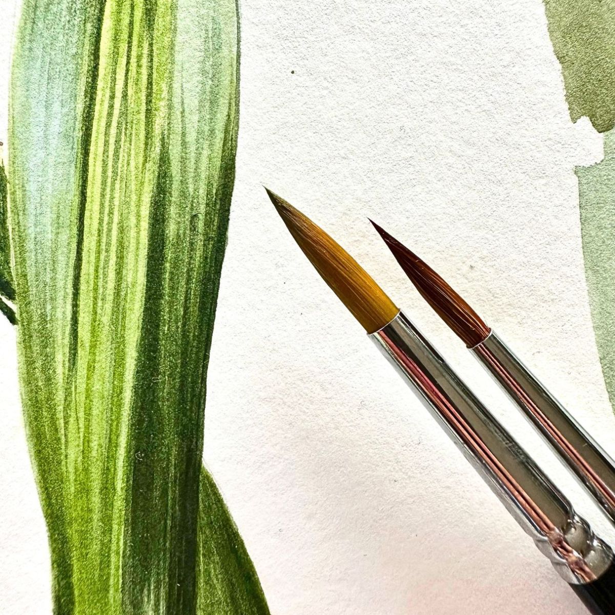 Watercolor Brushes Pink or Black