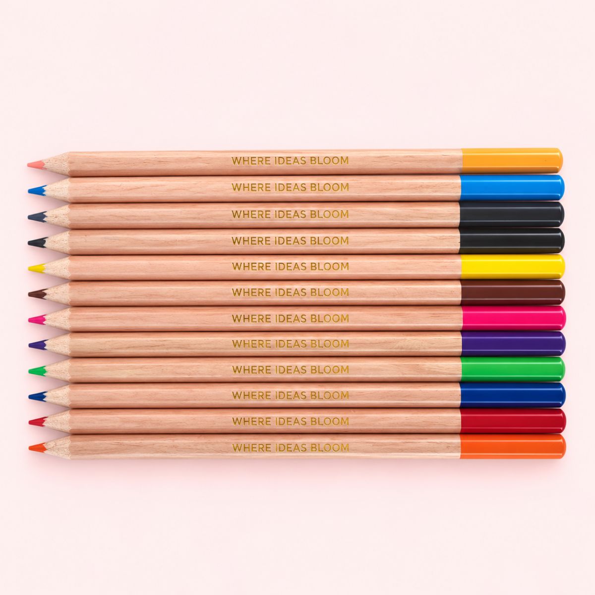 Creative Garden Colored Pencils