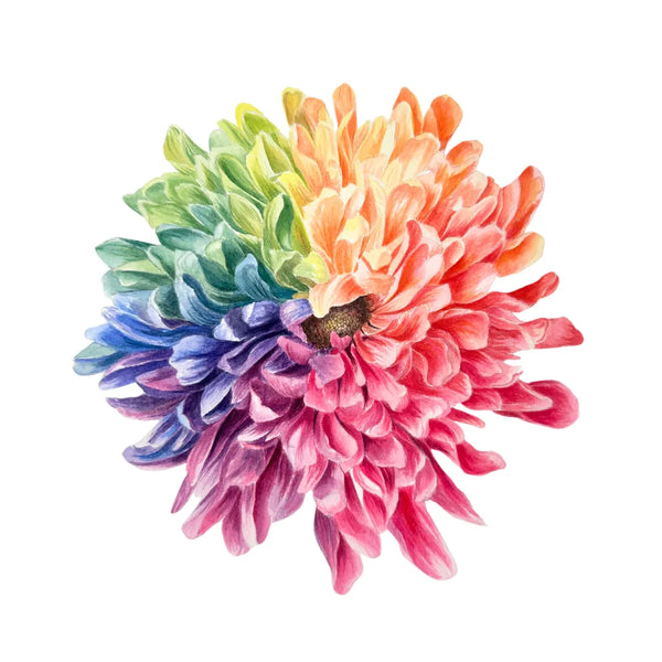 Flower Color Wheel