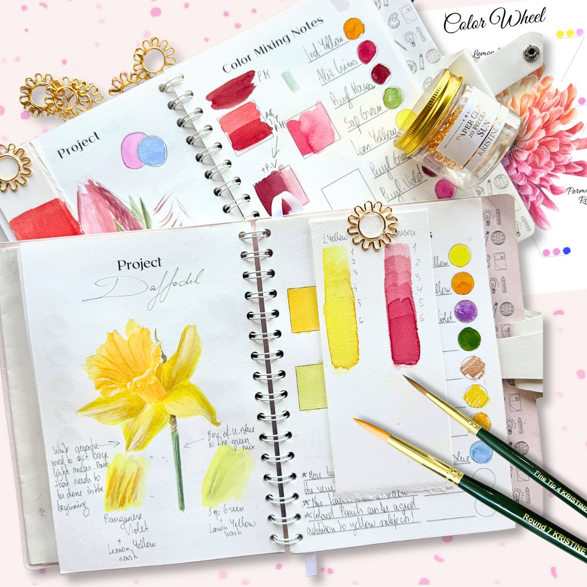 Flower Color Wheel Set