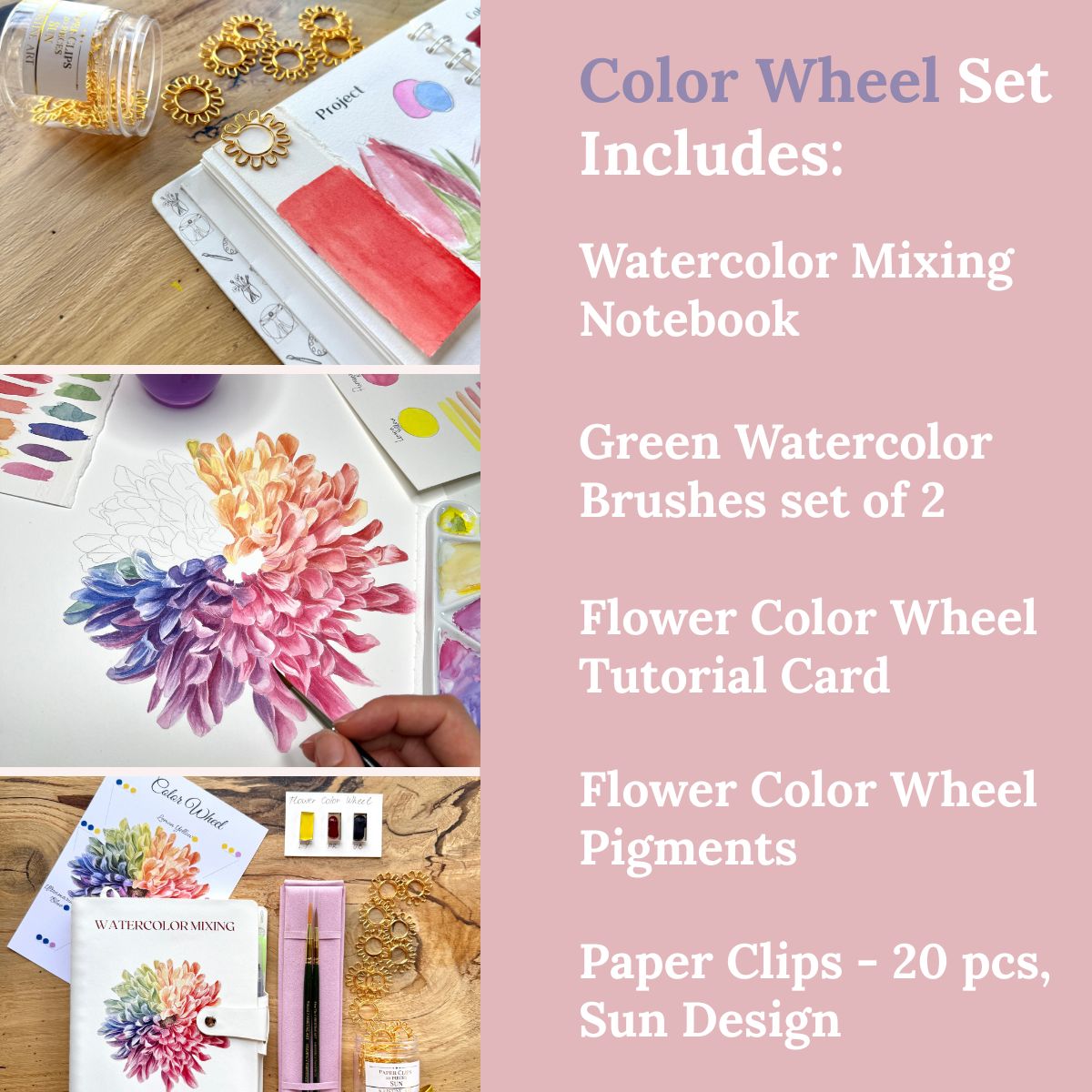 Flower Color Wheel Set