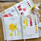 Flower Color Wheel Set