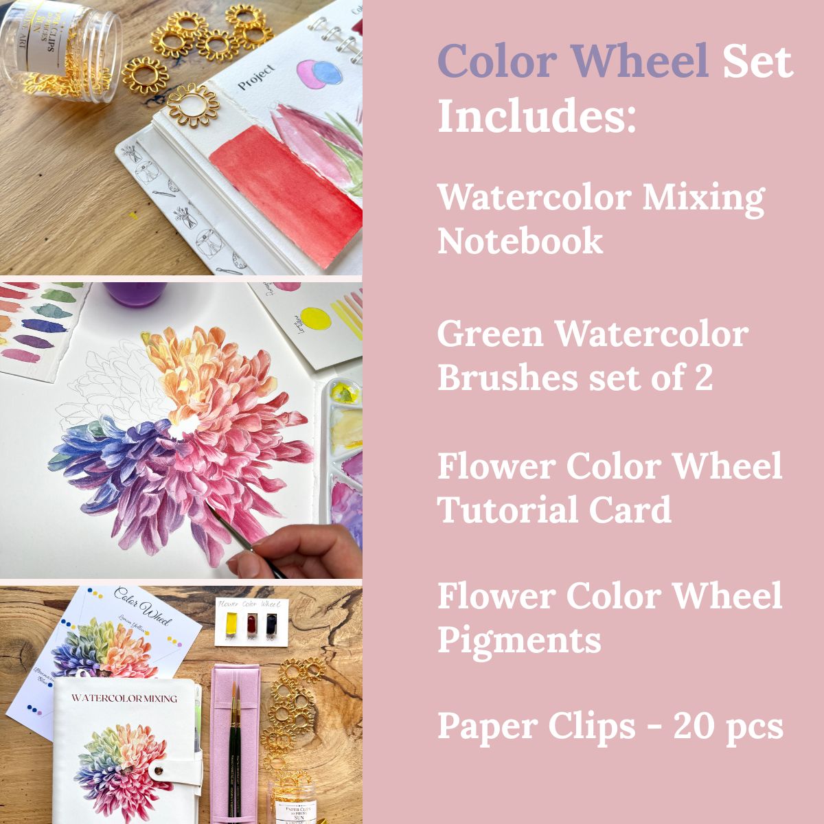 Flower Color Wheel Set