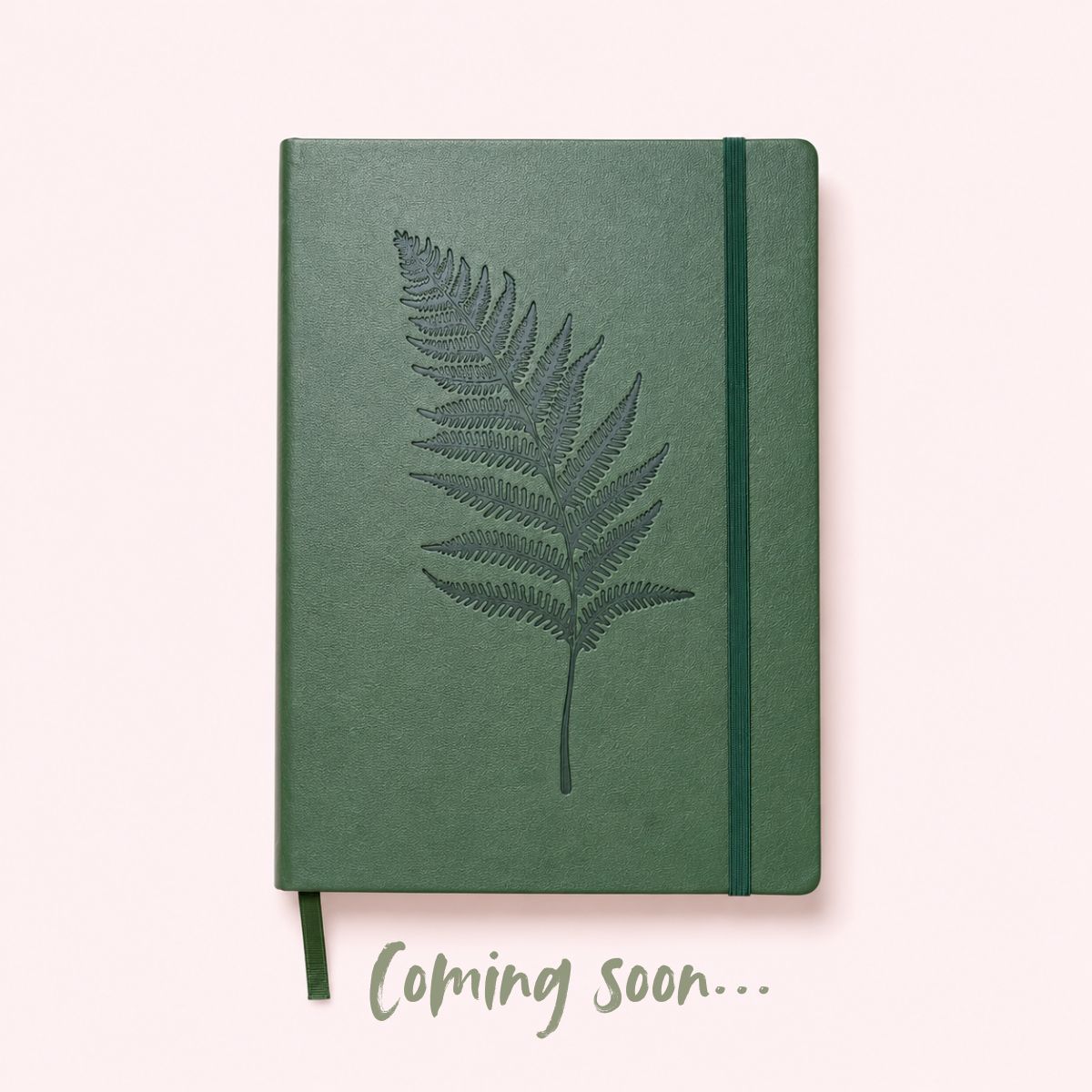 Coming Soon – Forest Sketchbook