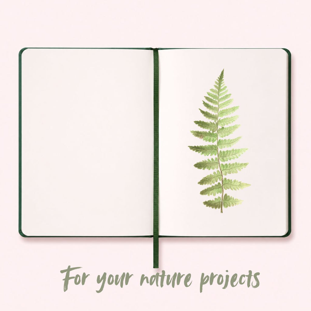 Coming Soon – Forest Sketchbook
