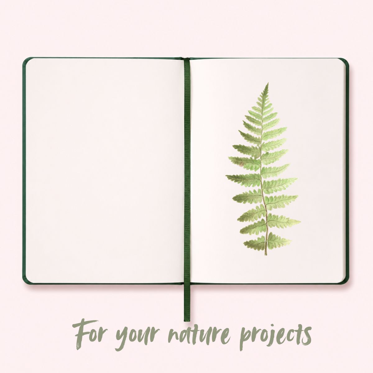 Coming Soon – Forest Sketchbook