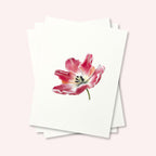 Hot Press Watercolor Paper 300 lb / 640 gsm
