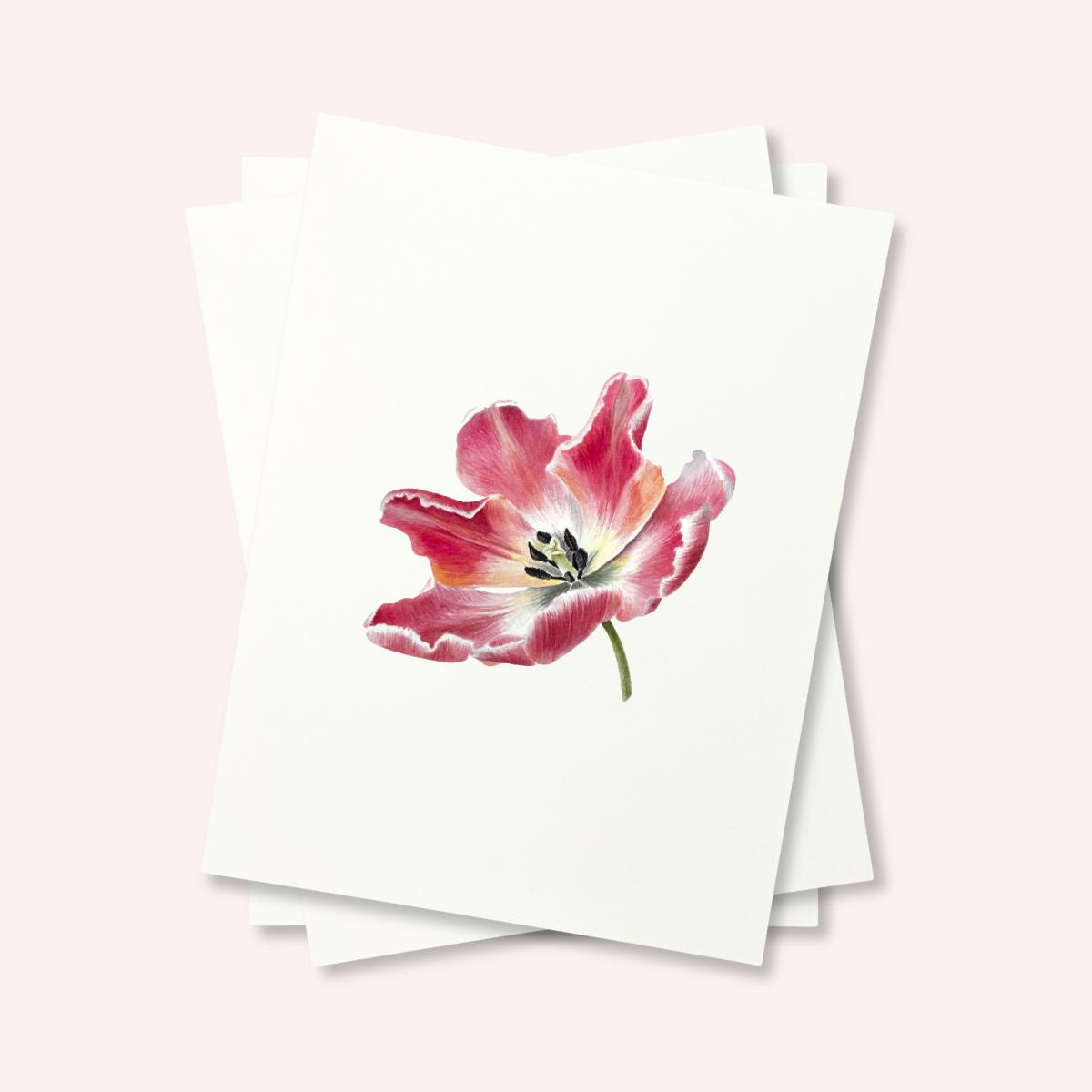 Hot Press Watercolor Paper 300 lb / 640 gsm