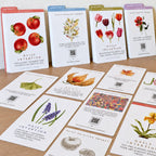Flourish Intention Cards