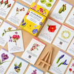 Flourish Intention Cards