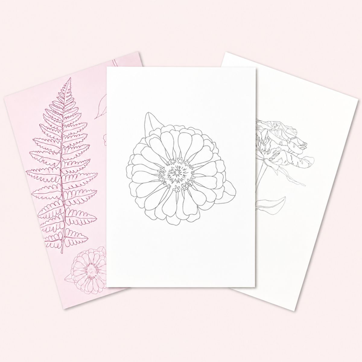 Watercolor Wisdom Book Line Drawings
