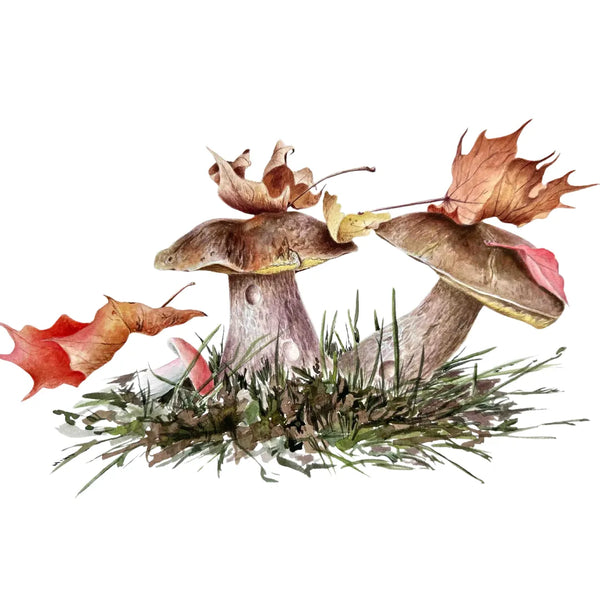 Mushrooms