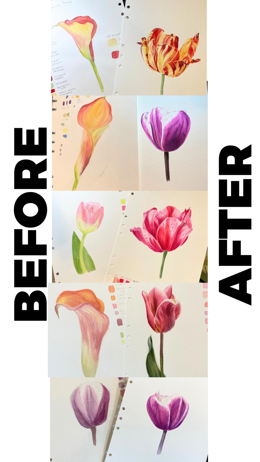 Book a Spot to Botanical Watercolor Painting Workshop in Holland