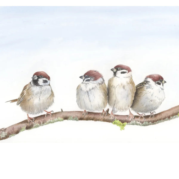 Sparrows
