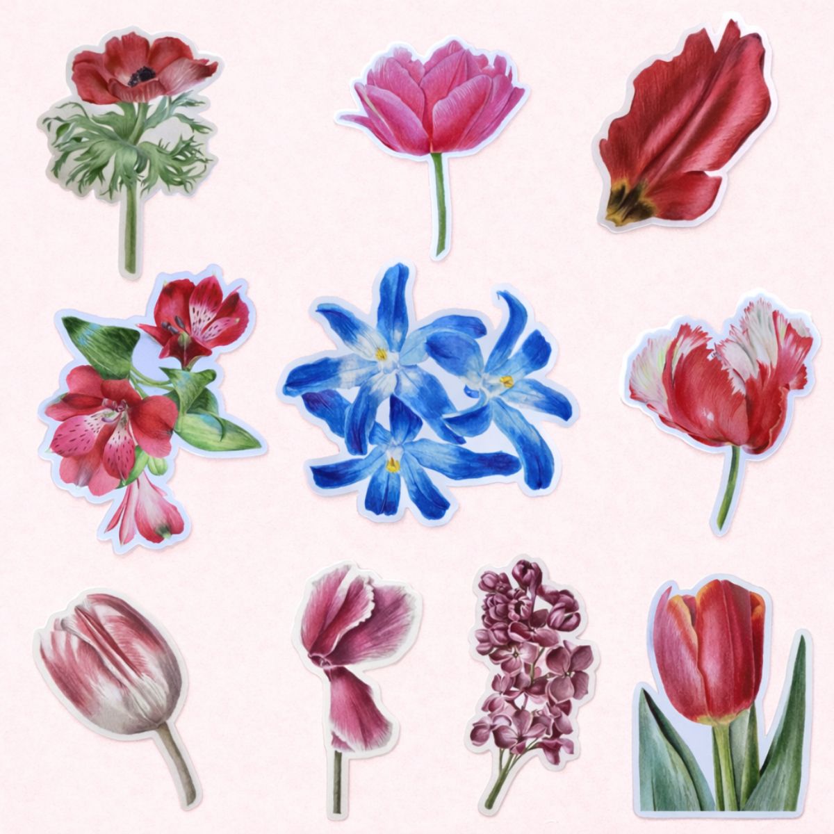 Sticker Mini Spring Roll Spring Sticker Set – kristineart