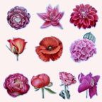Summer Sticker Set