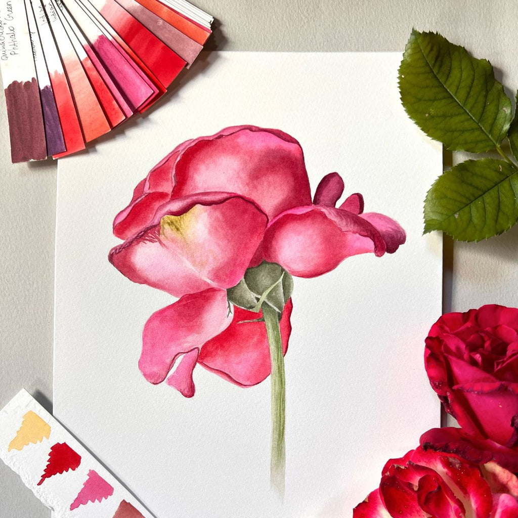 Color Swatches