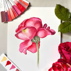 Color Swatches