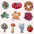 Autumn Sticker Set