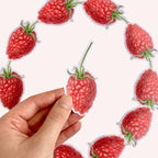 Watercolor Wisdom Book Inspired Sticker Set